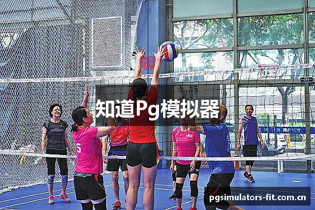 知道Pg模拟器